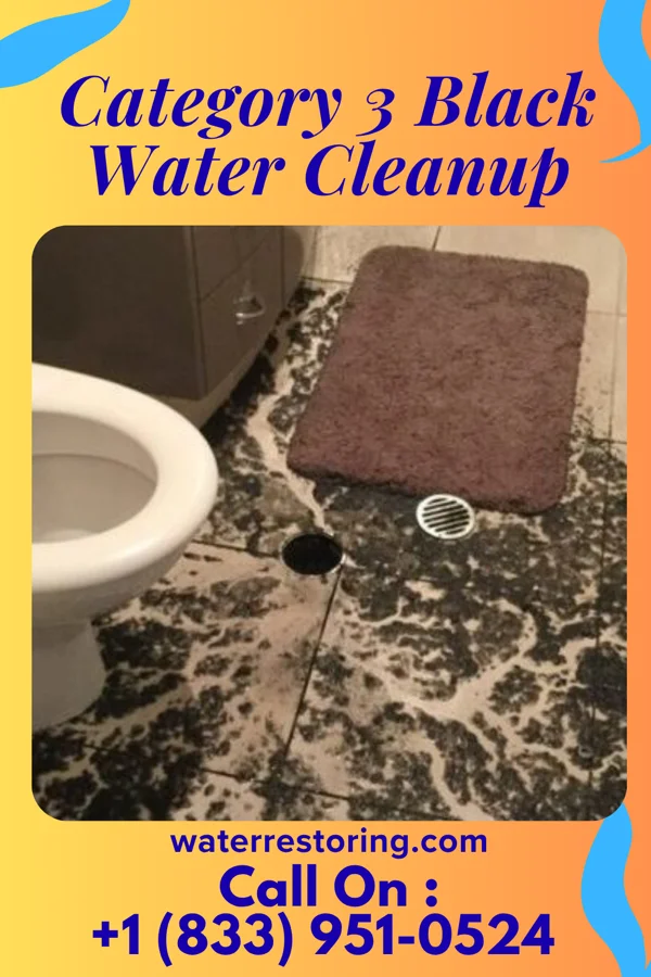Category 3 Black Water Cleanup in Windcrest, TX