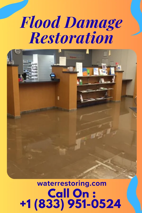 Flood Damage Restoration in Windcrest, TX