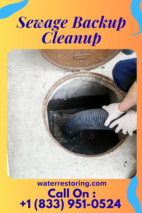 Sewage Backup Cleanup in Windcrest, TX