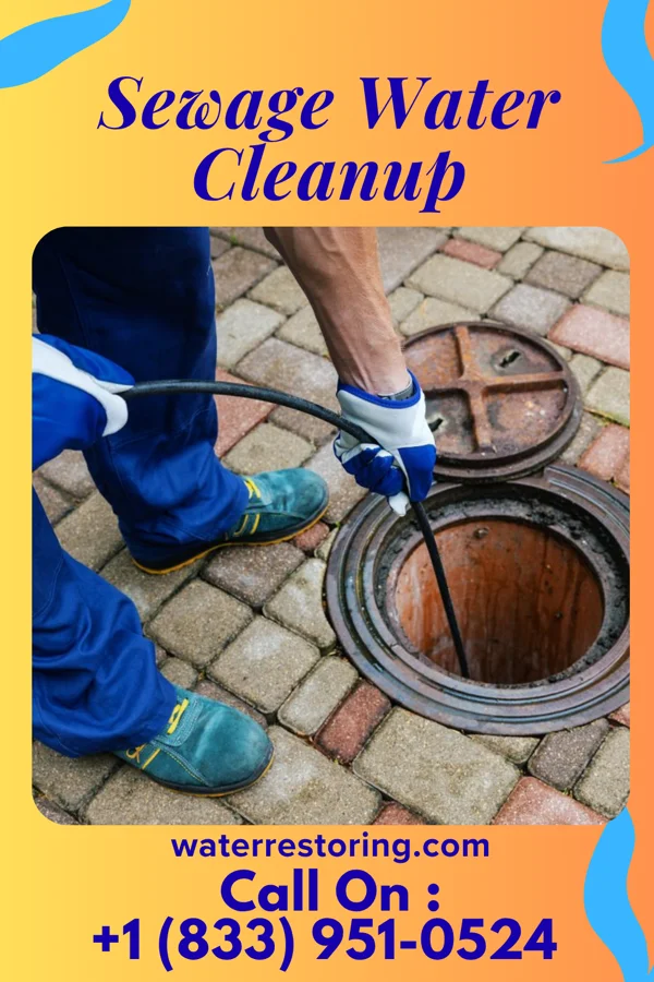 Sewage Water Cleanup in Windcrest, TX