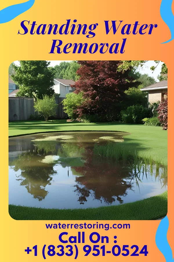 Standing Water Removal in Windcrest, TX